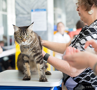 click for enlarge 1920 X 1781 786.2 Kb picture