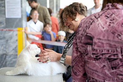 click for enlarge 1920 X 1280 476.6 Kb picture