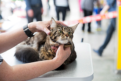 click for enlarge 1920 X 1280 473.9 Kb picture