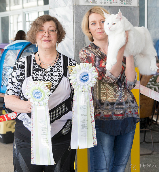 click for enlarge 1920 X 2084 413.6 Kb picture