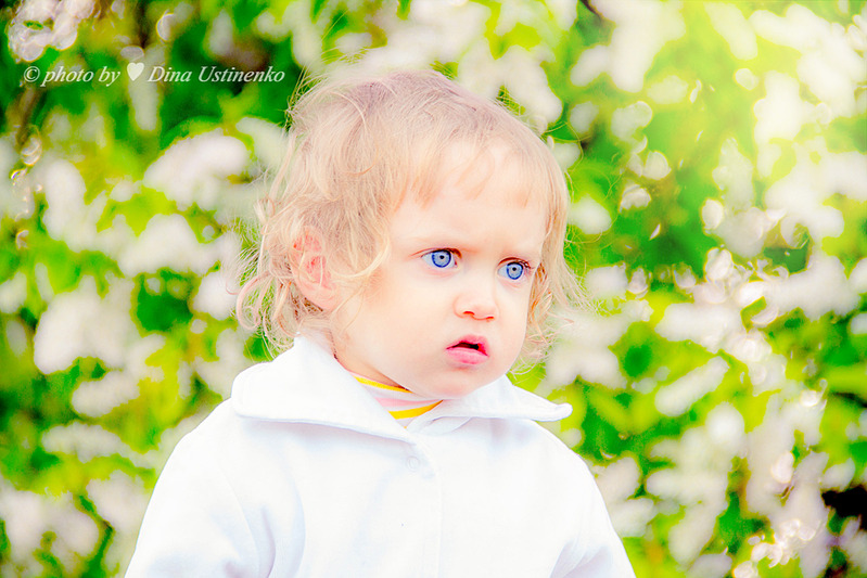 click for enlarge 1000 X 667 544.6 Kb picture
