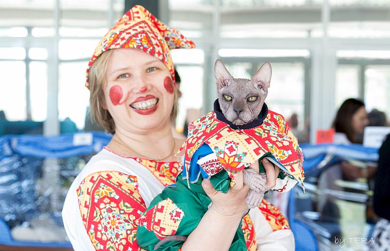 click for enlarge 1920 X 1236 605.2 Kb picture