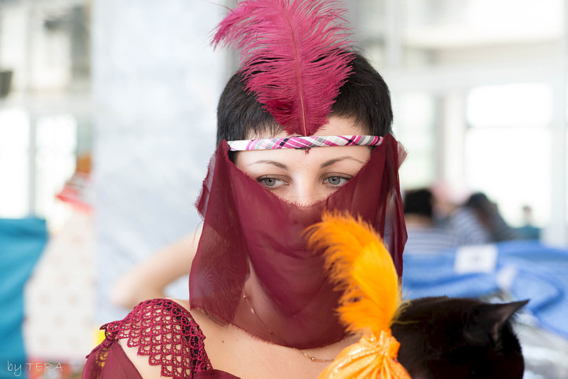 click for enlarge 1920 X 1279 475.3 Kb picture