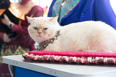 click for enlarge 1920 X 1279 583.2 Kb picture