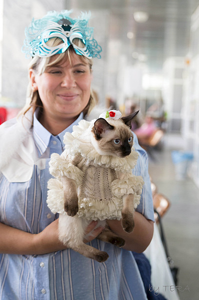 click for enlarge 1920 X 2890 350.4 Kb picture