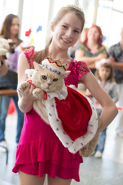 click for enlarge 1920 X 2880 312.0 Kb picture