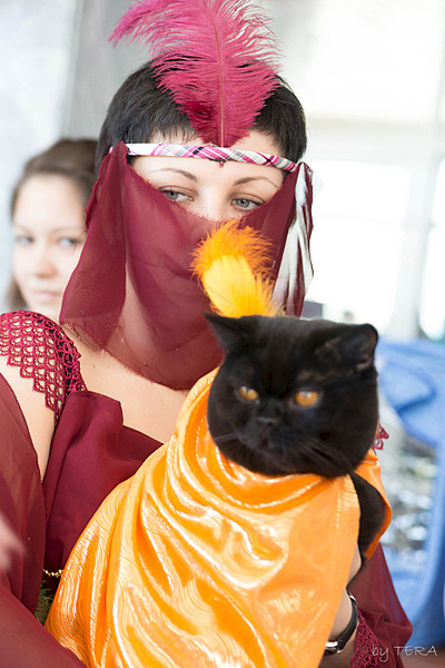 click for enlarge 1920 X 2880 403.4 Kb picture