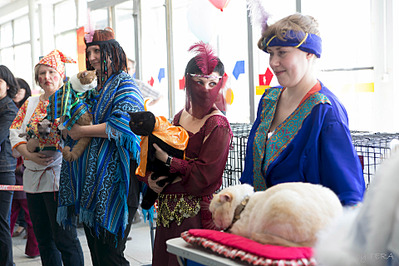 click for enlarge 1920 X 1280 661.0 Kb picture