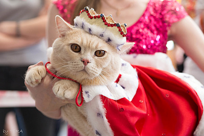 click for enlarge 1920 X 1279 534.2 Kb picture