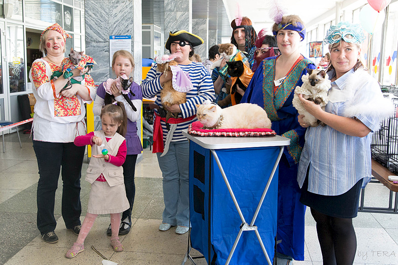 click for enlarge 1920 X 1279 972.8 Kb picture