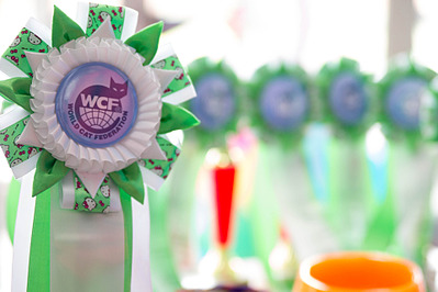 click for enlarge 1920 X 1279 414.5 Kb picture