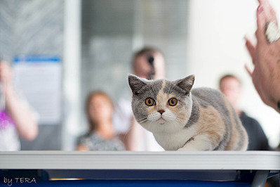 click for enlarge 1920 X 1279 409.0 Kb picture