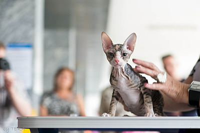 click for enlarge 1920 X 1280 368.6 Kb picture