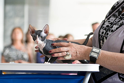 click for enlarge 1920 X 1279 500.8 Kb picture