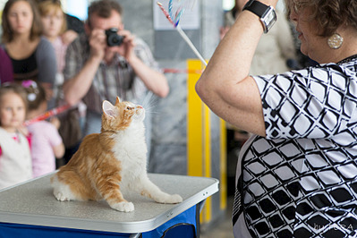 click for enlarge 1920 X 1280 597.3 Kb picture