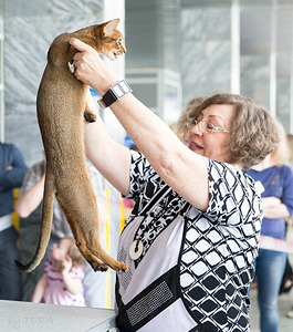 click for enlarge 1920 X 2171 478.2 Kb picture