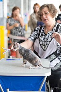 click for enlarge 1920 X 2879 413.1 Kb picture