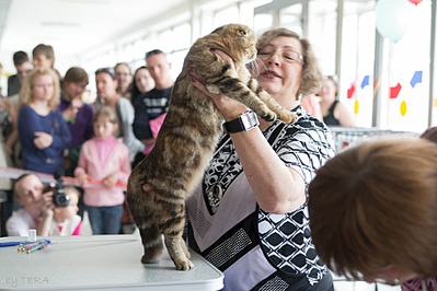 click for enlarge 1920 X 1280 567.7 Kb picture