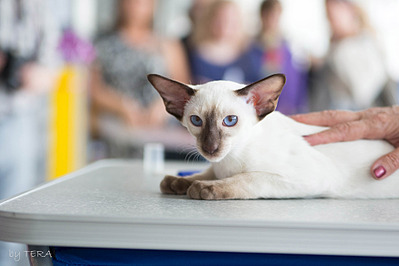 click for enlarge 1920 X 1280 411.4 Kb picture