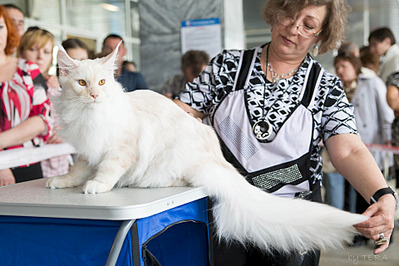 click for enlarge 1920 X 1280 644.5 Kb picture