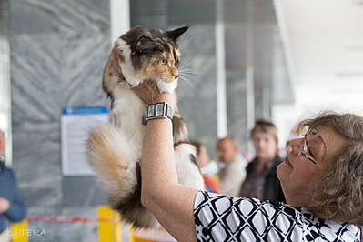 click for enlarge 1920 X 1280 589.8 Kb picture