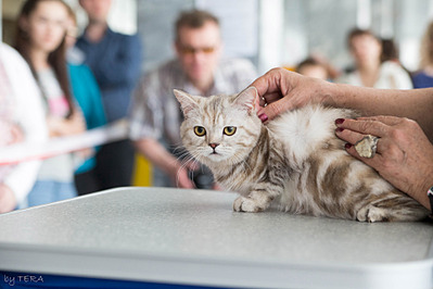 click for enlarge 1920 X 1280 486.6 Kb picture