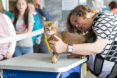 click for enlarge 1920 X 1280 696.7 Kb picture