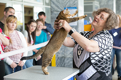 click for enlarge 1920 X 1280 739.4 Kb picture