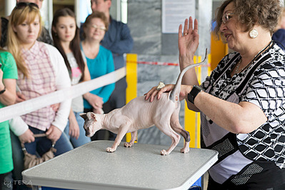 click for enlarge 1920 X 1280 686.8 Kb picture