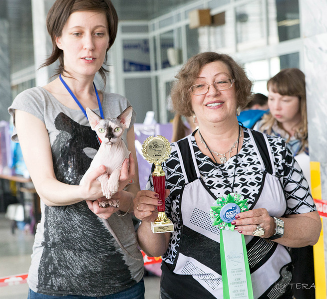 click for enlarge 1920 X 1758 346.2 Kb picture