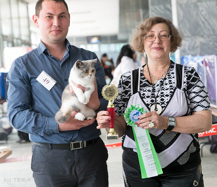 click for enlarge 1920 X 1659 969.6 Kb picture