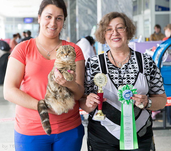 click for enlarge 1920 X 1690 327.1 Kb picture