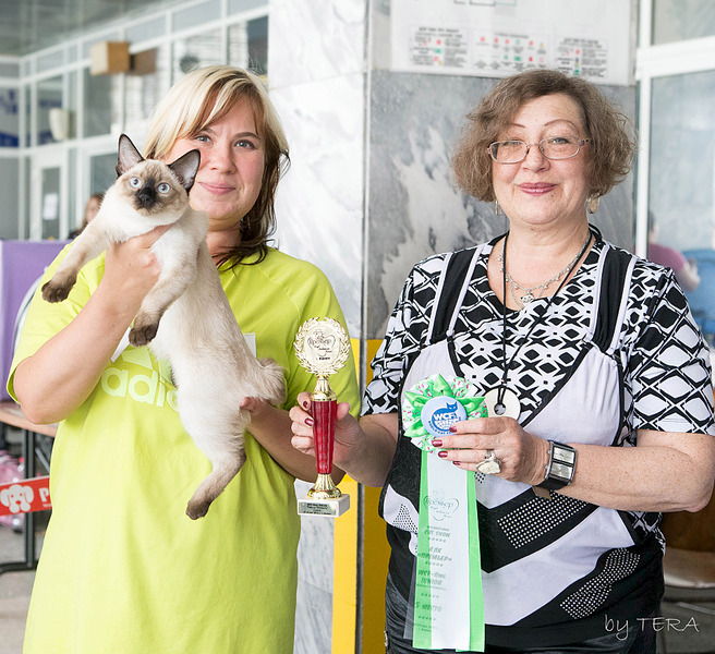 click for enlarge 1920 X 1755 361.5 Kb picture