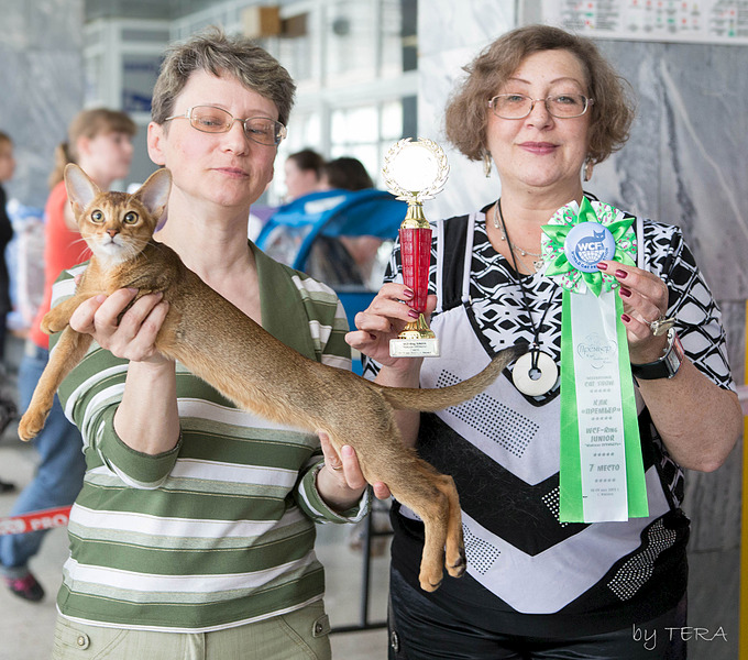 click for enlarge 1920 X 1694 958.3 Kb picture