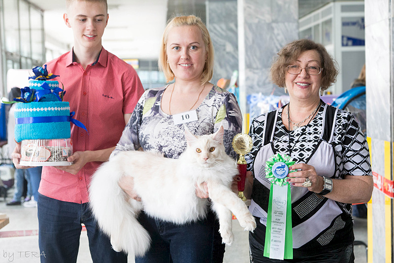 click for enlarge 1920 X 1280 720.8 Kb picture