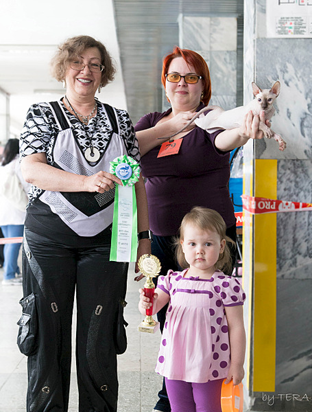 click for enlarge 1920 X 2531 427.7 Kb picture