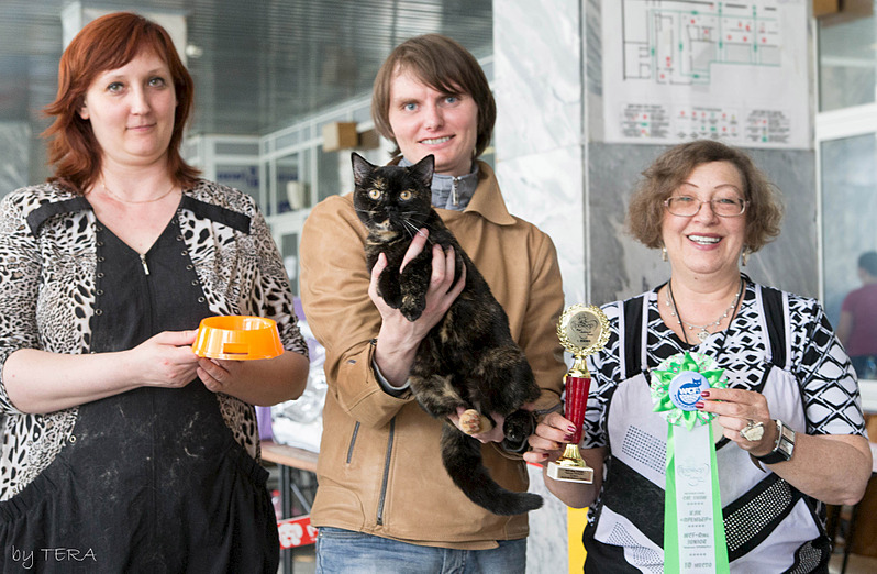 click for enlarge 1920 X 1253 690.1 Kb picture