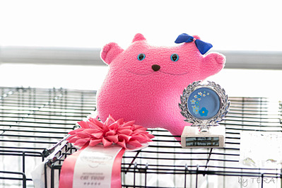 click for enlarge 1920 X 1279 556.5 Kb picture