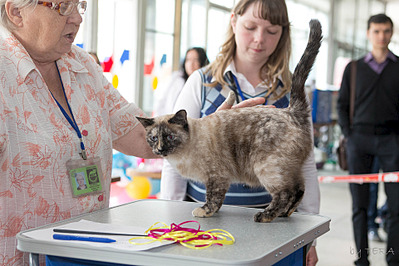 click for enlarge 1920 X 1280 729.1 Kb picture