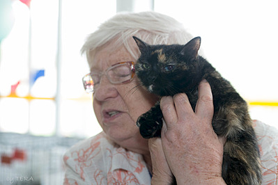 click for enlarge 1920 X 1280 396.2 Kb picture