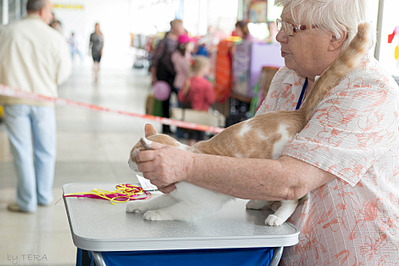 click for enlarge 1920 X 1280 604.7 Kb picture