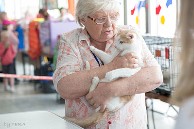 click for enlarge 1920 X 1279 595.0 Kb picture