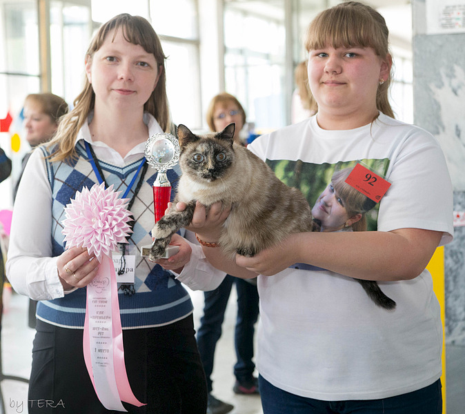 click for enlarge 1920 X 1708 829.8 Kb picture