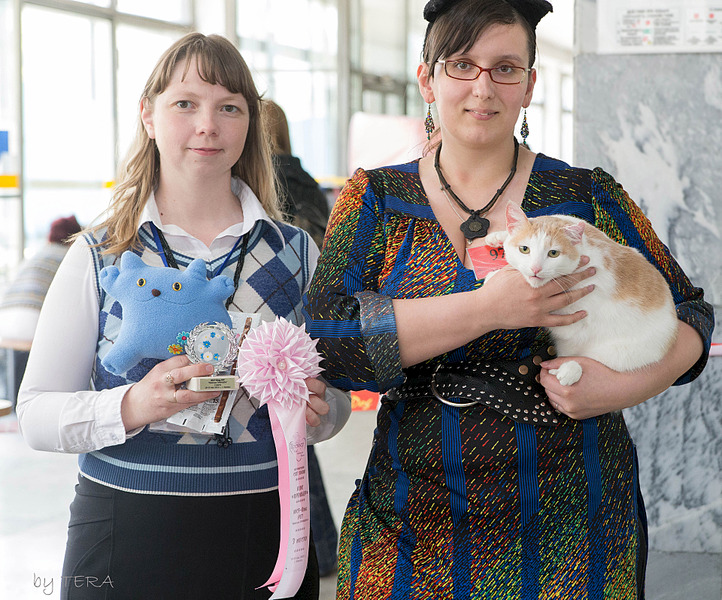 click for enlarge 1920 X 1595 401.2 Kb picture