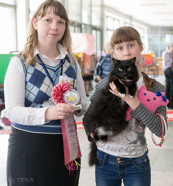 click for enlarge 1920 X 2061 385.8 Kb picture