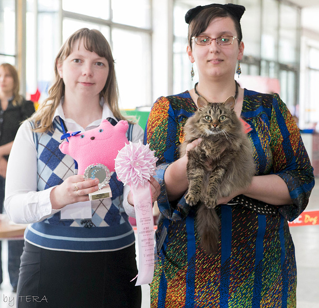 click for enlarge 1920 X 1855 382.5 Kb picture