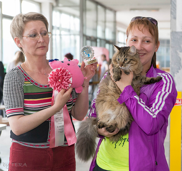 click for enlarge 1920 X 1803 357.2 Kb picture