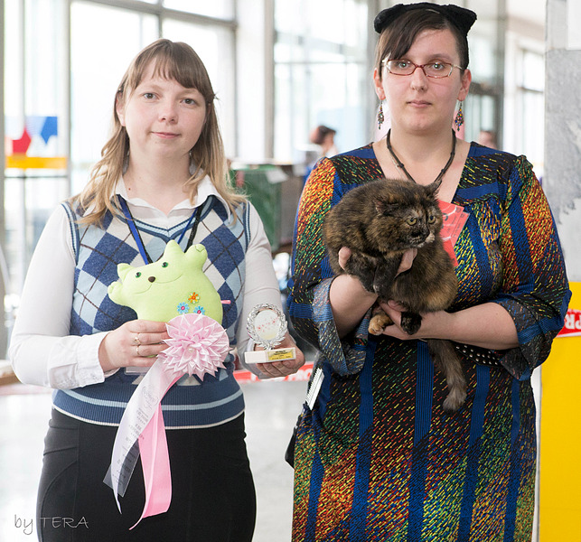 click for enlarge 1920 X 1791 413.5 Kb picture