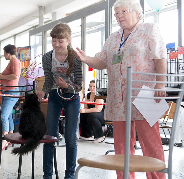 click for enlarge 1920 X 1873 350.0 Kb picture