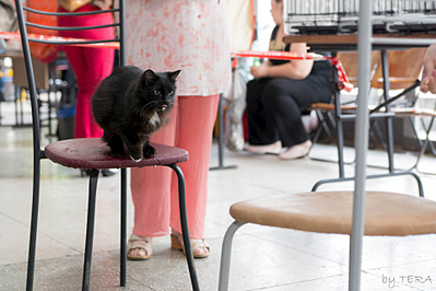 click for enlarge 1920 X 1279 496.8 Kb picture